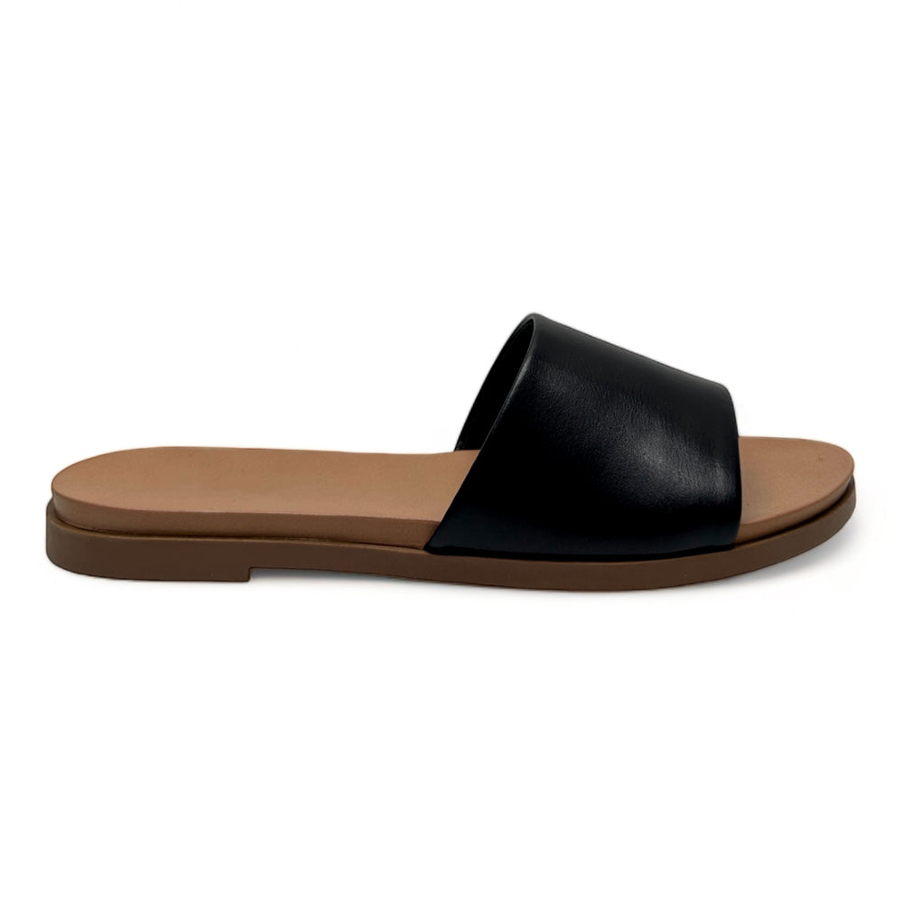 Black Pu